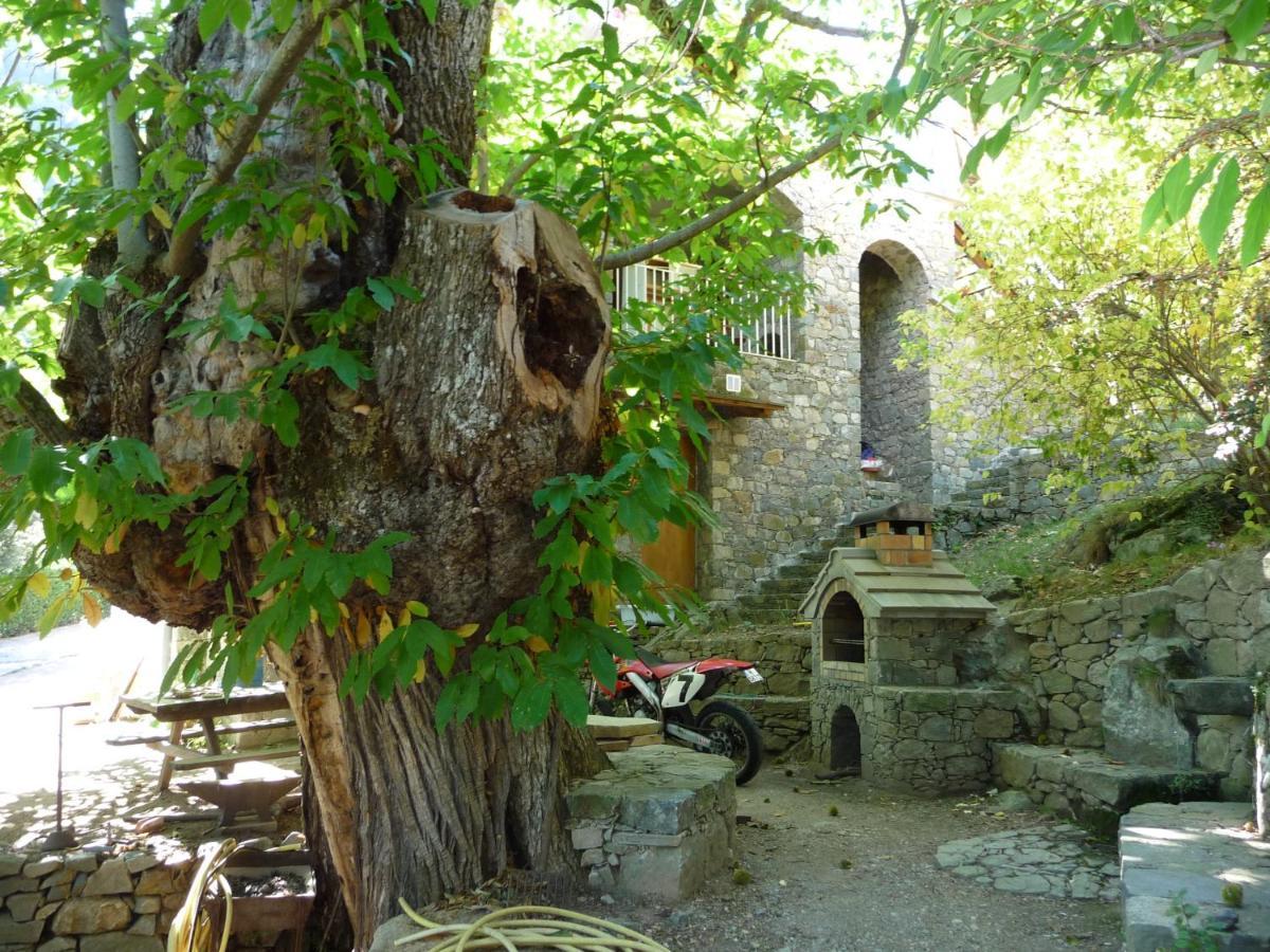Chambre D'Hote "Chez Antoinette Et Charles" Santo-Pietro-di-Venaco Exterior photo